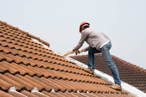 Best Roof Ventilation Installation  in Mebane, NC