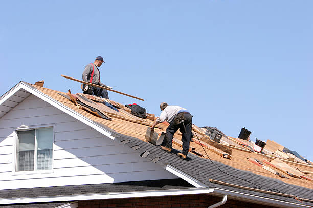 Best Roof Insulation Installation  in Mebane, NC