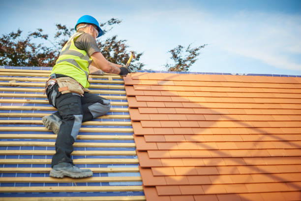 Best Gutter Installation and Repair  in Mebane, NC
